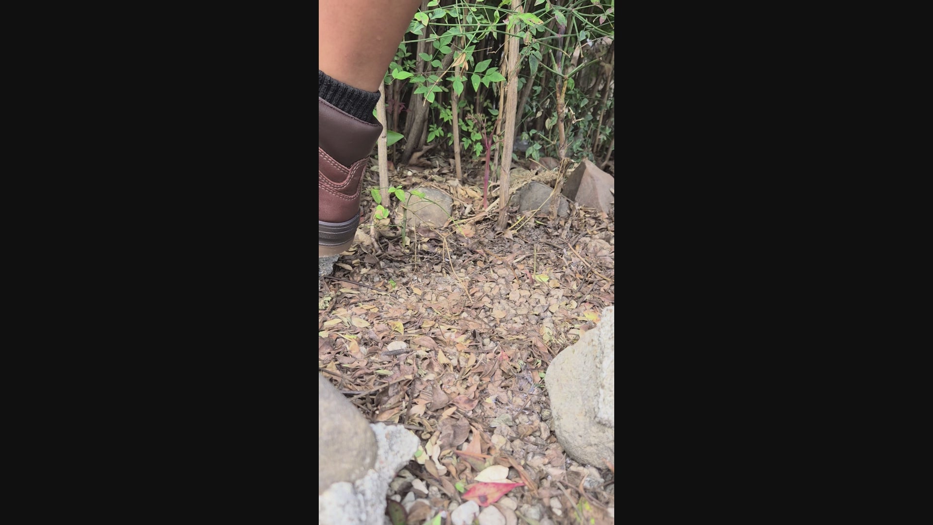 Leather Flexi Comfort Shoes